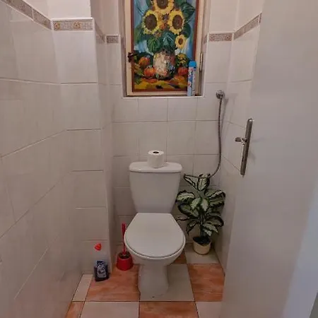 דירה Kamil Apartments, Delux A, 65m2 קרלובי וארי
