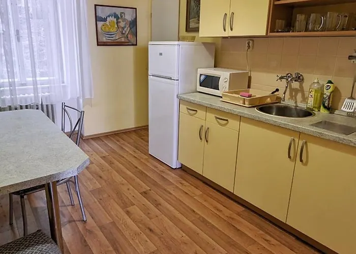Kamil Apartments, Delux A, 65m2 * 卡罗维发利